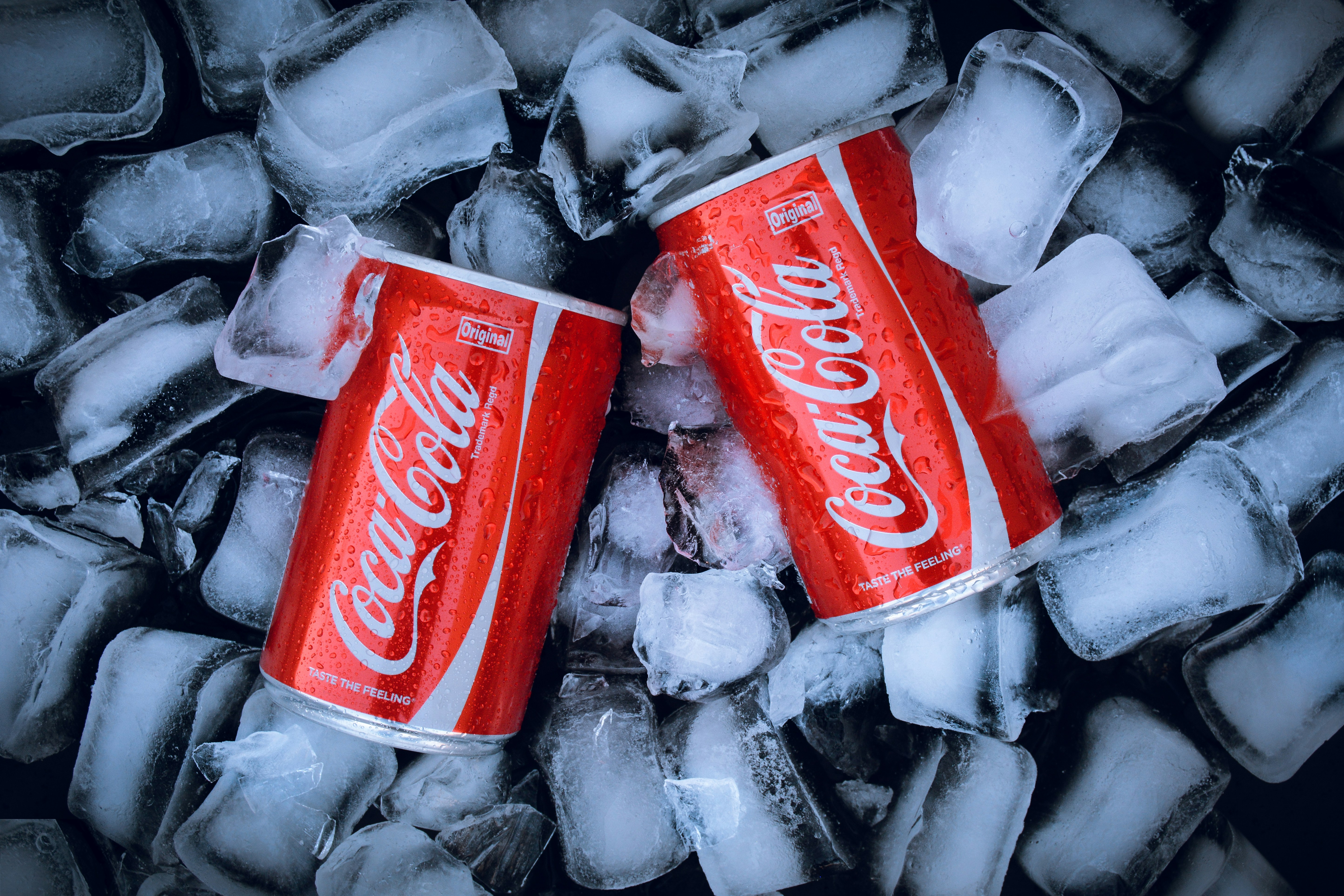 Coca-Cola can 8